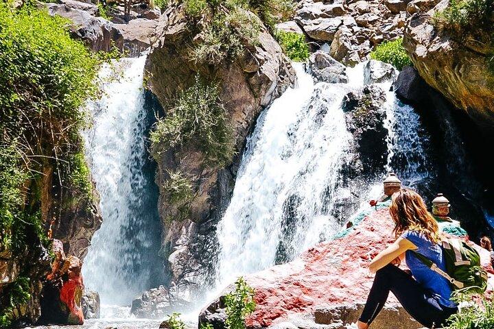Marrakech : Valle dell'Ourika, montagne dell'Atlante, cascate e pranzo