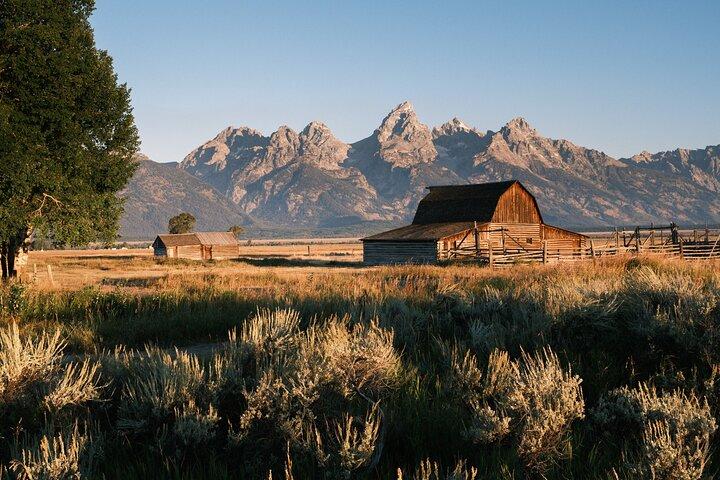 Grand Teton Tour privado de vida selvagem e bicicleta de dia inteiro