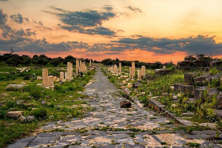 Excursión en chofer privado de día completo : Jerash, Castillo de Ajloun & Umm Qais