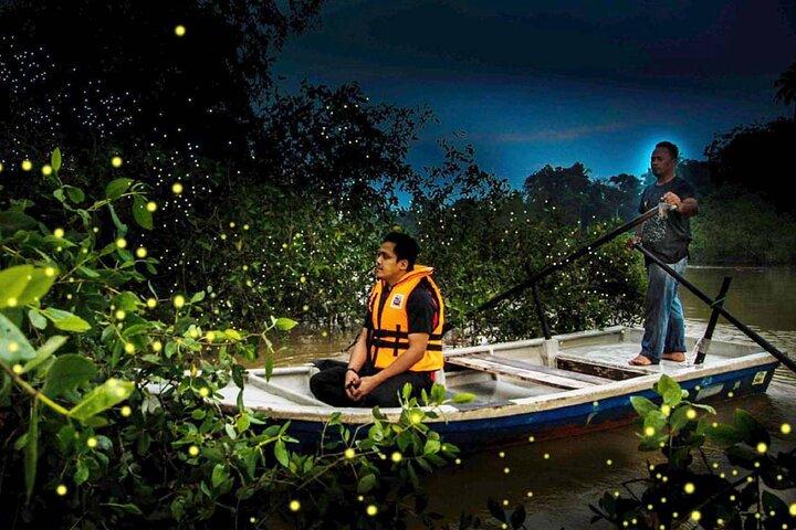 Private Kuala Lumpur Fairy Firefly und Monkey Hill Tour