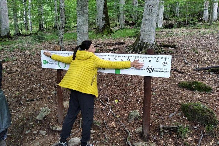 Private tour- NP Biogradska Gora, Moraca canyon & monastery