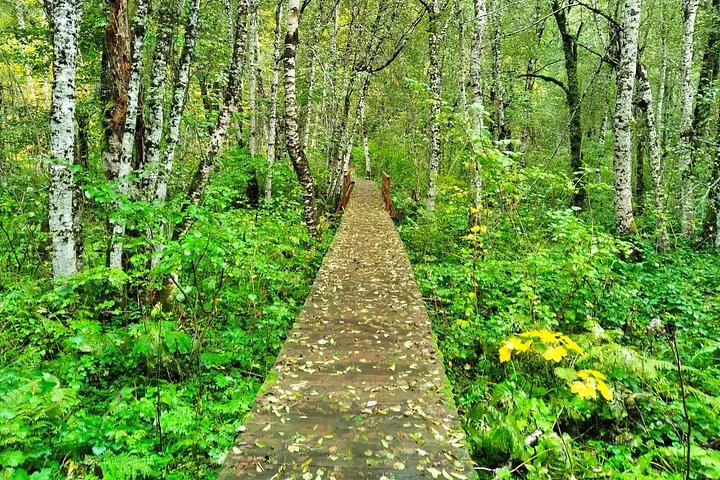 Private tour- NP Biogradska Gora, Moraca canyon & monastery