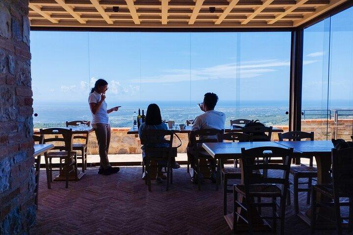 De Florença PRIVATE: Bolgheri Wine Tour, degustação entre as colinas costeiras da Toscana