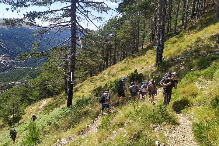 Caminata de día completo en el Parque Nacional Qorre Peak Llogara
