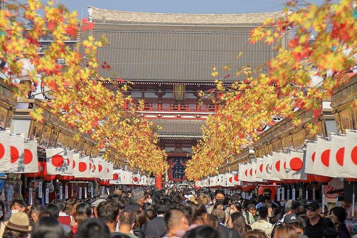 1 - Visite d'une journée en bus à Tokyo