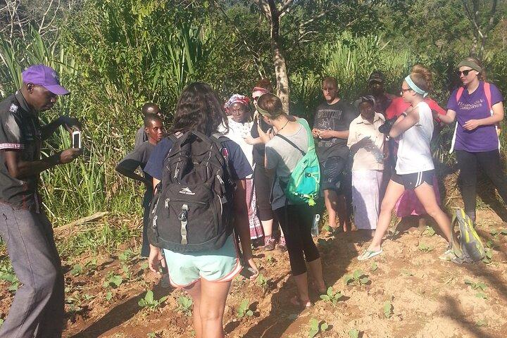 14 giorni per sperimentare la vita autentica del villaggio a Taita Hills