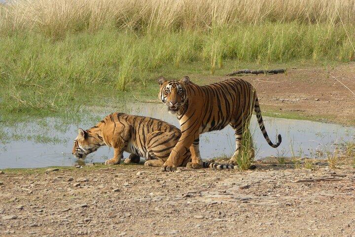 Ranthambore-Nationalpark