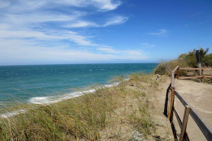 Excursion exclusive en minibus Punta Tombo Shore Tour (jusqu'à 20 pax) Visite VIP