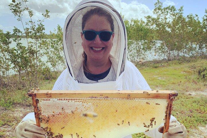 Hoteller i nærheden af Grand Cayman Beekeeping Experience – Hands-On Hive Tour