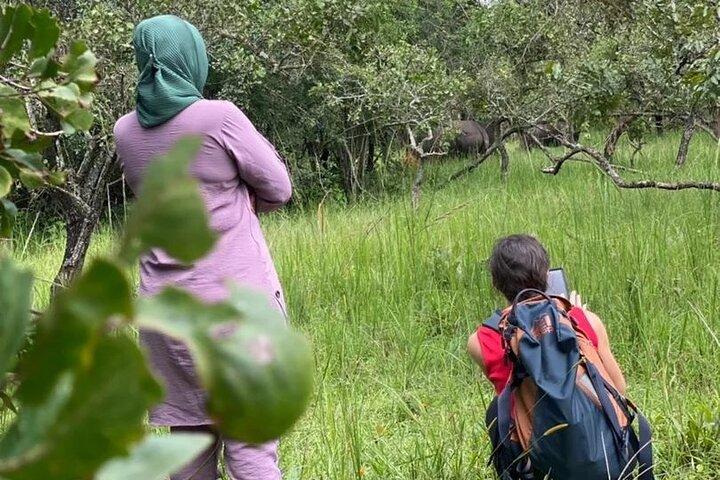 Aventura de rastreamento de rinocerontes no Ziwa Rhino Sanctuary & Wildlife Ranch