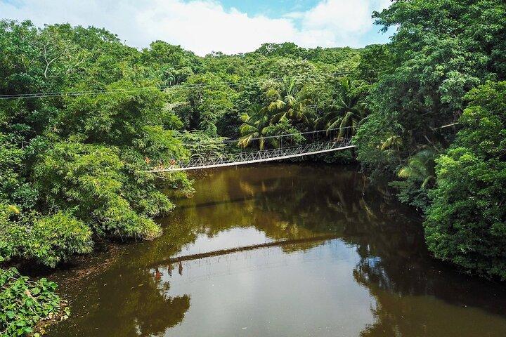 Avistamentos de animais e passeio a pé no Parque Gumbalimba com complementos