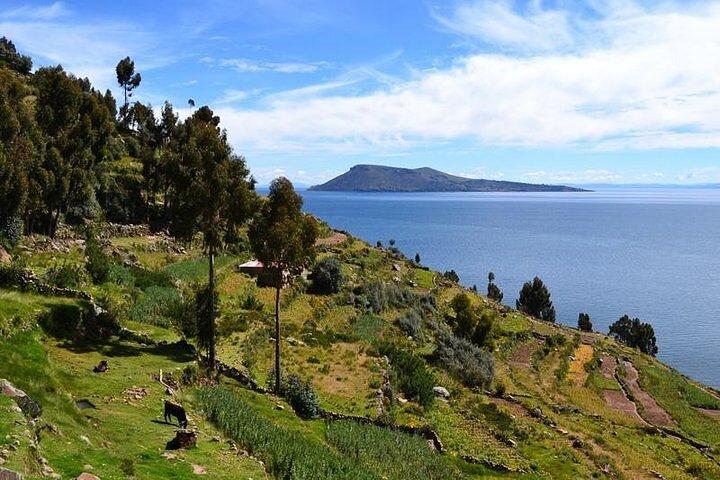 Fra Cusco til Titicacasøen: 2-dages Homestay Tour