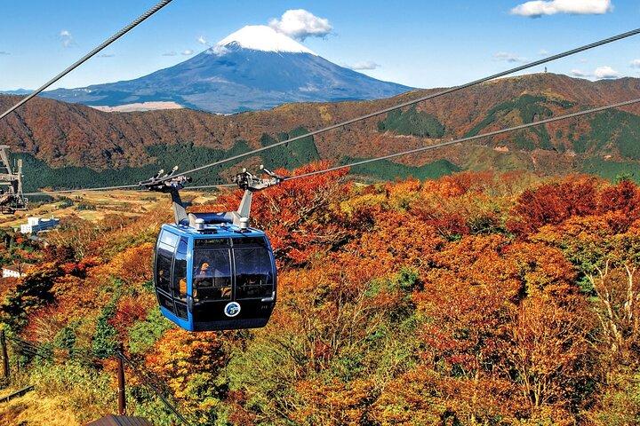 富士山と箱根1 - 新幹線で往復する日帰りバスツアー