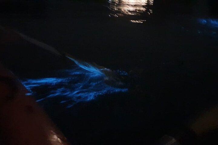 2 jours 1 nuit Lan Ha Bay Adventure