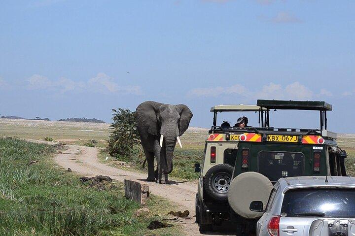 Amboseli Safari, 2 jours, témoin de la faune et du mont Kilimandjaro