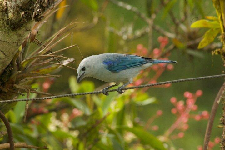Observation des oiseaux dans le Salento