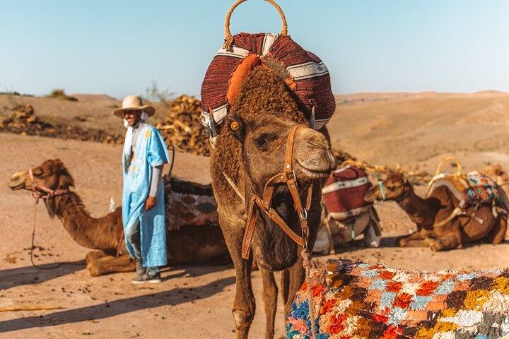 Desert Agafay Quad Camel e cena spettacolo Piscina