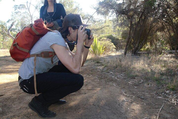 Cours de photographie d'art à San Francisco
