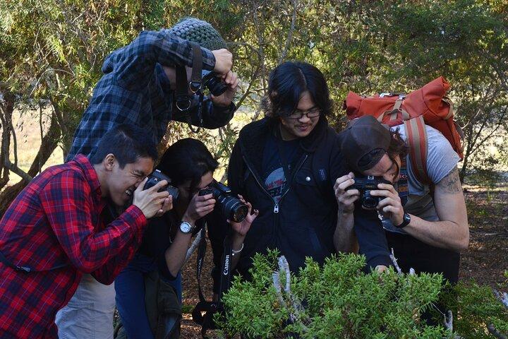 Cours de photographie d'art à San Francisco