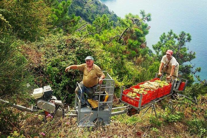 Privé dagtocht naar de Cinque Terre vanuit Florence