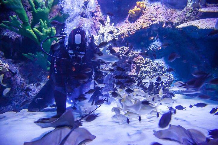 Alexander-waterval en Antalya Aquarium-dagtour vanuit Side