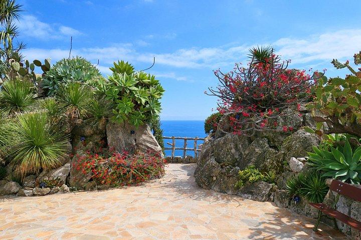 Private Walking Tour Monaco Cultural Heritage Experience