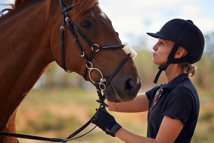 川と山を巡るマルマリス半日乗馬