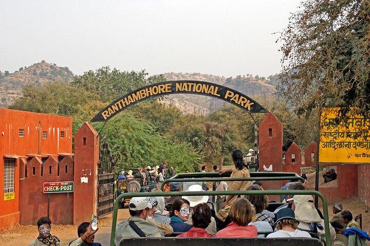 Jaipur para Ranthambore National Park Private One Day Trip