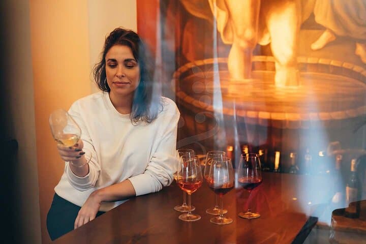 Istanbul Private Wine Tasting Tour Through 3 City Wineries
