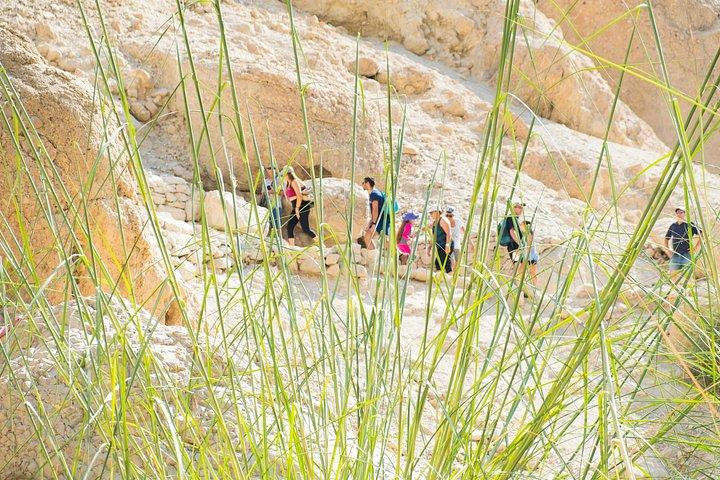 Totes Meer, Masada und Ein Gedi Tagestour ab Jerusalem