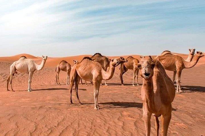 Tour in Mauritania