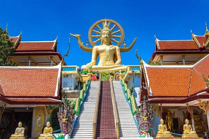 Private Tagestour rund um Samui im klimatisierten Van