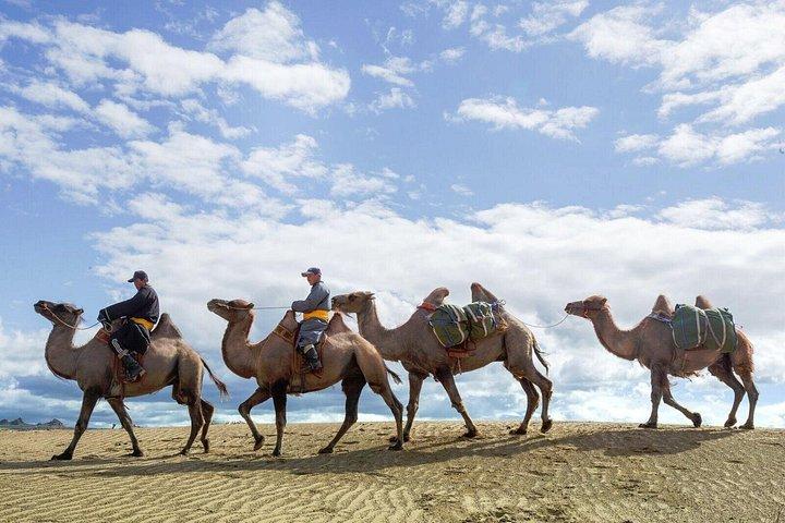 Essence of Mongolia 4 Days