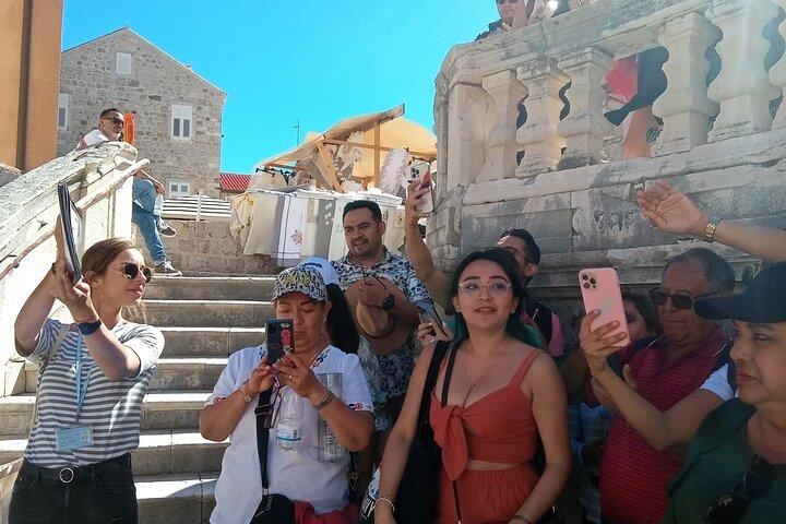 Dubrovnik City Tour: Panorama Drive & Sightseeing Walk