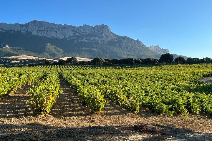 Heldagssmagning af det ukendte Rioja-vinområde