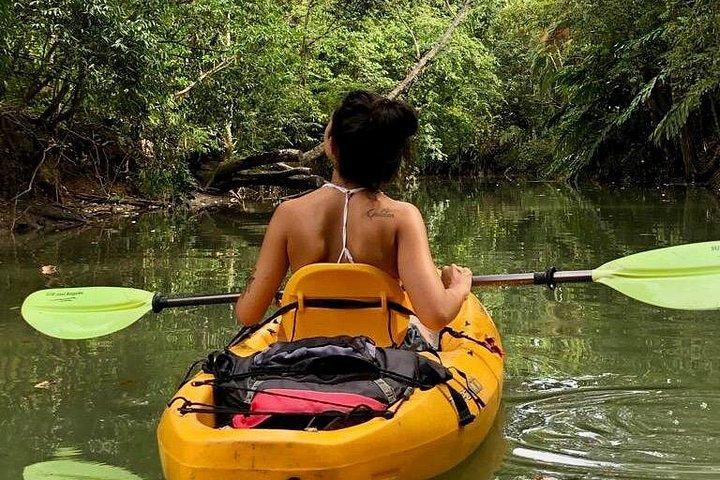Mangrove Kayak