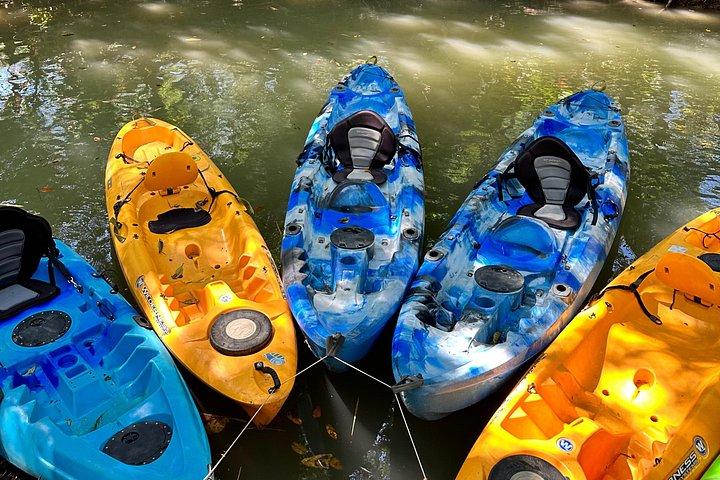 Mangrove Kayak