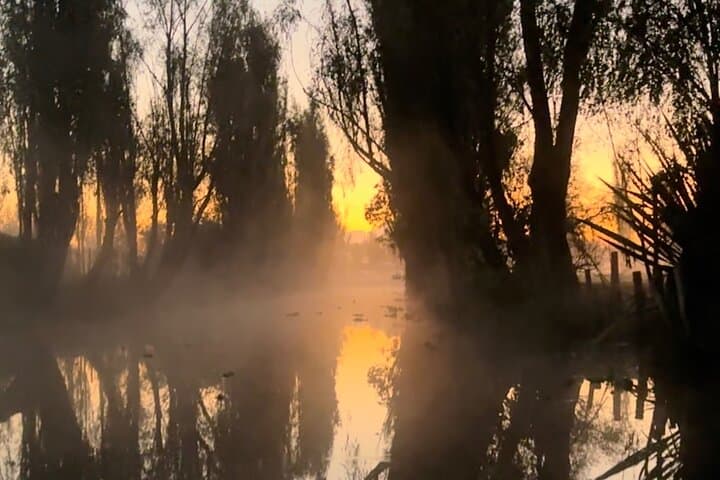 Mexico City: Xochimilco at sunrise + Breakfast and transportation