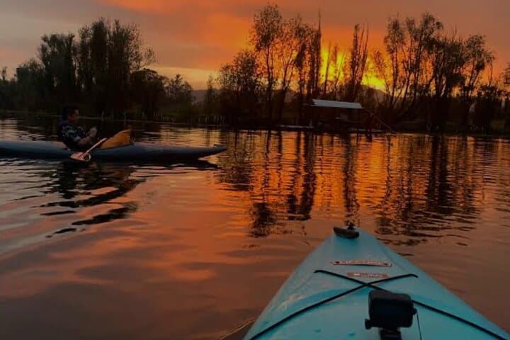 Mexico City: Xochimilco at sunrise + Breakfast and transportation