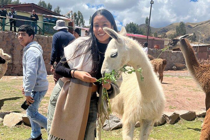 Cusco: Archeological Sites Tour and Forest Photo Experience