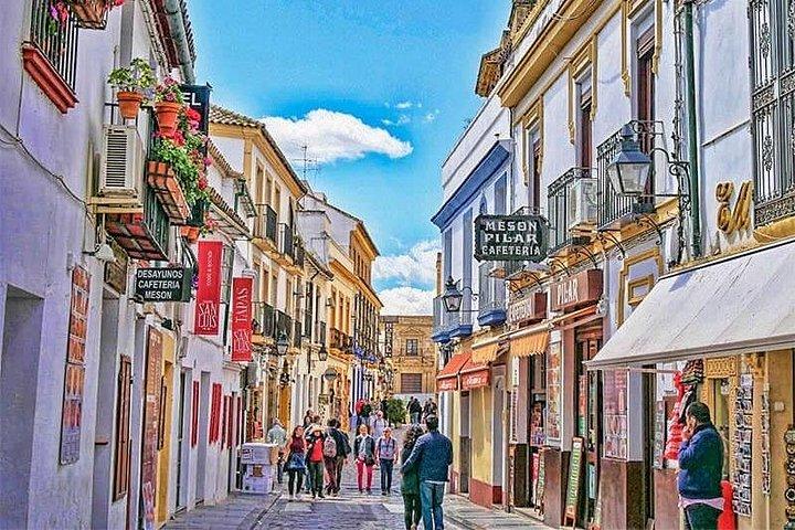 Full-Day Cordoba Tour from Jaen