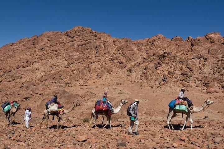 Dahab Blue Hole and Colored Canyon
