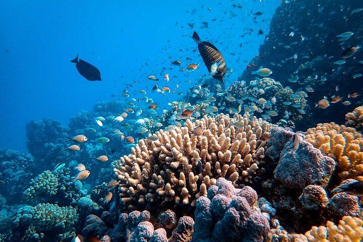 Dahab Blue Hole and Colored Canyon
