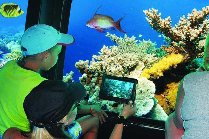 Viagem Semi Submarina em Sharm El Sheikh com Transfer
