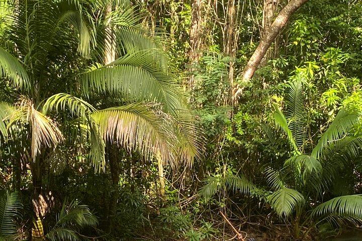 Martha Brae River Bamboo Rafting Experience from Montego Bay