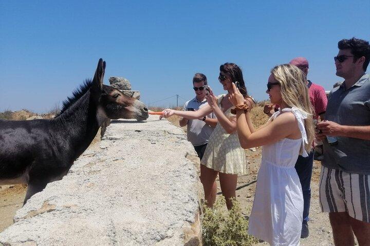 Liten grupp halvdagstur i Mykonos