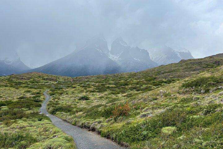 Heldags privat tur til Torres del Paine