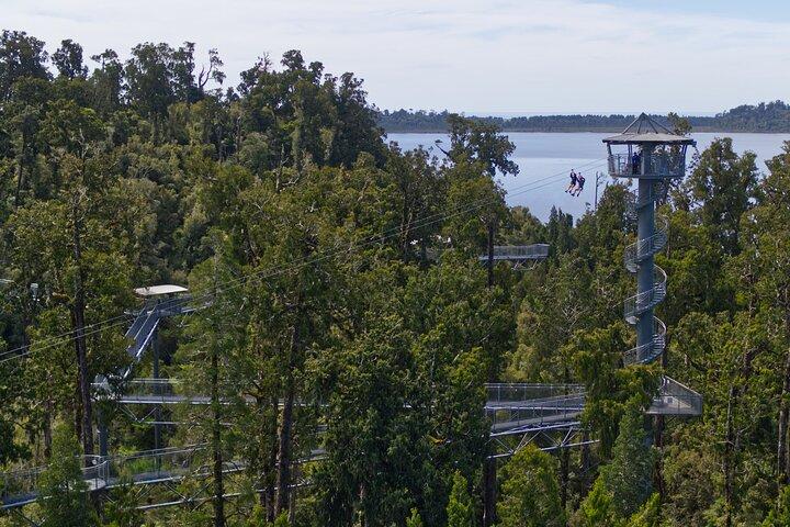 West Coast Tower Zipline & Treetop Walk Combo