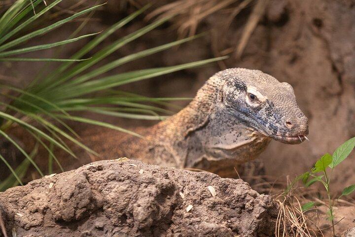 スキップ・ザ・ライン：ウッドランド・パーク動物園チケットで毎日入場