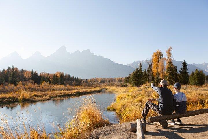Ab Jackson: Ganztägige Grand-Teton-Wildtier- und -Landschaftstour mit Mittagessen